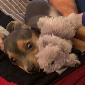 Meet your Posher, Crystal